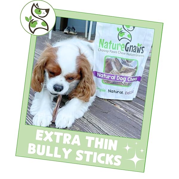 NATURE GNAWS EXTRA THIN BULLY STICKS FOR SMALL DOGS 5-6″ (10 COUNT) – LONG LASTING FOR LIGHT CHEWERS AND PUPPIES – NATURAL BEEF DOG CHEW BONES