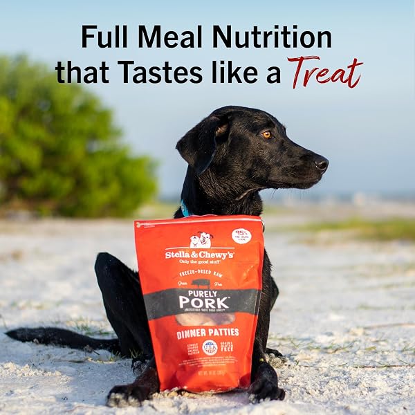 STELLA & CHEWY’S FREEZE-DRIED RAW DINNER PATTIES – PURELY PORK RECIPE – HIGH PROTEIN GRAIN-FREE PUPPY & DOG FOOD – PERFECT FOR PICKY EATERS – 14 OZ