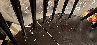 Review Image by april april