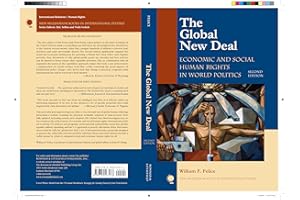 The Global New Deal: Economic and Social Human Rights in World Politics (New Millennium Books in International Studies)