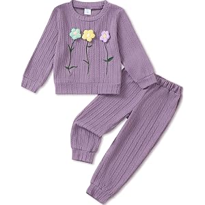 Jecson Toddler Girl Fall Clothes: Soft Outfits Set Embroidered Knit Top & Sweatpants 2Pcs Cute Home Outdoor 2-8Y