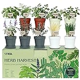 10 Indoor Herb Garden Kit, 33pcs Complete Kitchen Herb Starter Set Including 4-Color Pots, Soil & Tools, Unique Gift Ideas for Plant Lovers, Women, Men, Mom, Friend, Birthday, Housewarming, Christmas