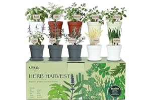 LYKOCLEAN 10 Indoor Herb Garden Kit, 33pcs Complete Kitchen Herb Starter Set Including 4-Color Pots, Soil & Tools, Unique Gift Ideas for Plant Lovers, Women, Men, Mom, Friend, Birthday, Housewarming, Christmas