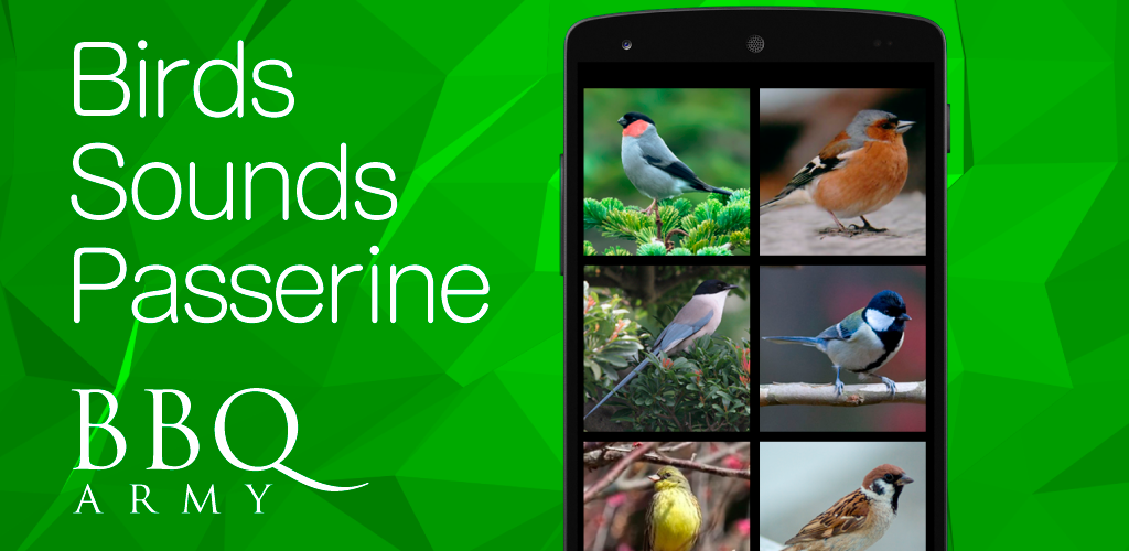 鳥の鳴き声2 スズメの仲間 Amazon Co Jp Appstore For Android