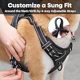 PoyPet No Pull Dog Harness Reflective Vest with 2 Leash Attachments XL Black view 5