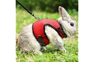 Pettom Bunny Rabbit Harness with Stretchy Leash Cute Adjustable Buckle Breathable Mesh Vest for Kitten Small Pets Walking (S(Chest:9.8-12.5 in), Red)