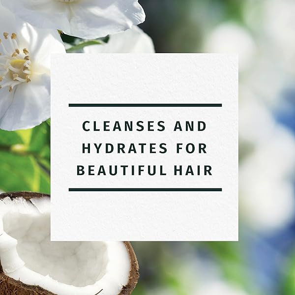 HERBAL ESSENCES SHAMPOO WITH COCONUT WATER & JASMINE, 29.2 FL OZ