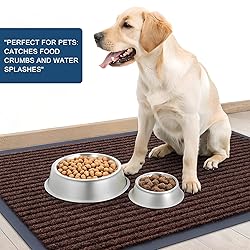 OLANLY Front Door Mat Indoor Outdoor