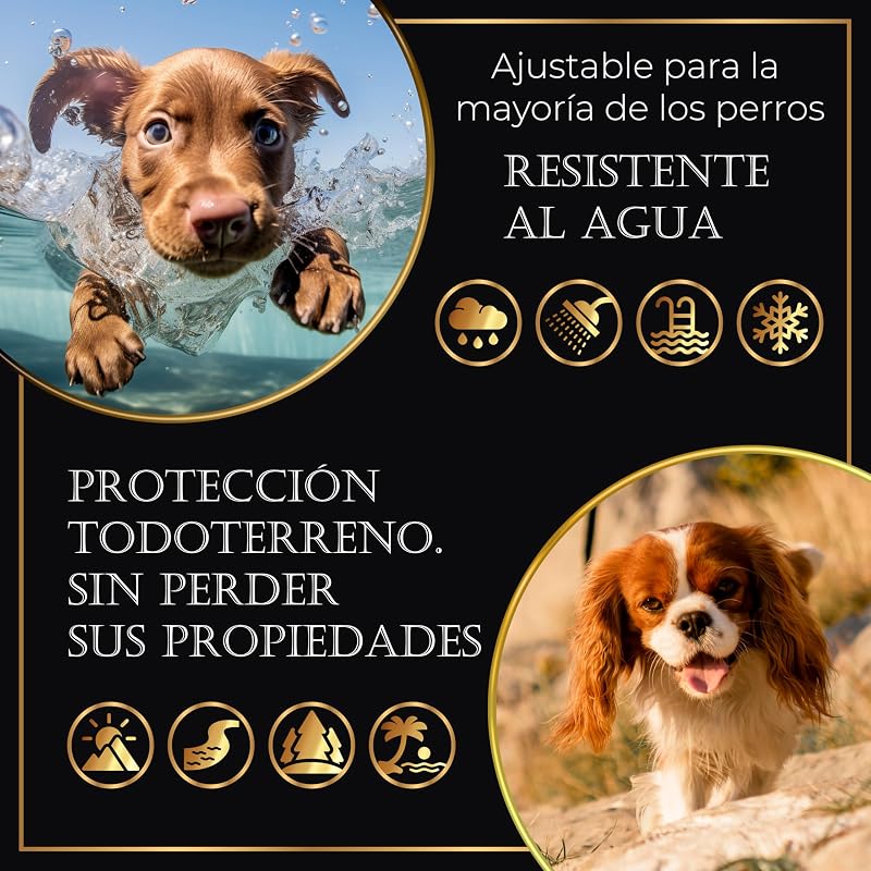 Leve 4 coleiras antiparasitárias para cães, 24 meses de proteção contra pulgas, carraças e mosquitos - 100% naturais, impermeáveis, ajustáveis, para todos os tamanhos.