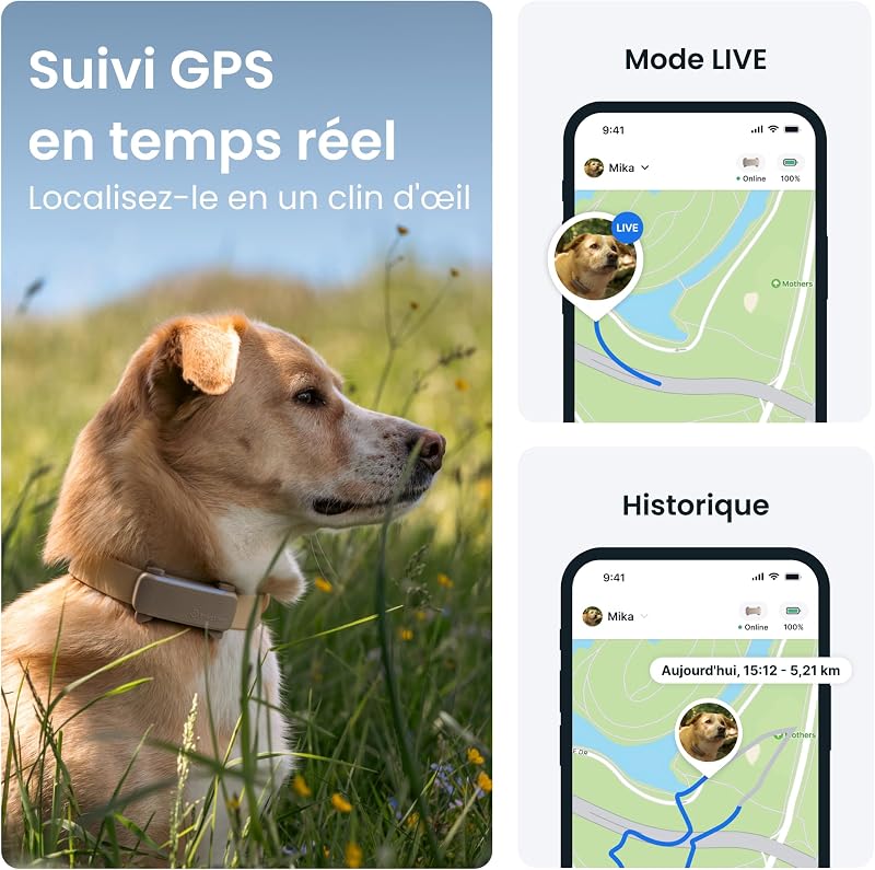 – Collier GPS pour Chien Connecté | Édition 2025 | Localisation GPS en Direct | Alertes Anti-Fugue et de Santé | Moniteur de Signes Vitaux | Leader du Marché (Marron)