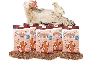Chubby Dried Mealworms | 24.95 kg | High Protein Non GMO Insect Treat for Wild Birds, Chickens & Backyard Feeders