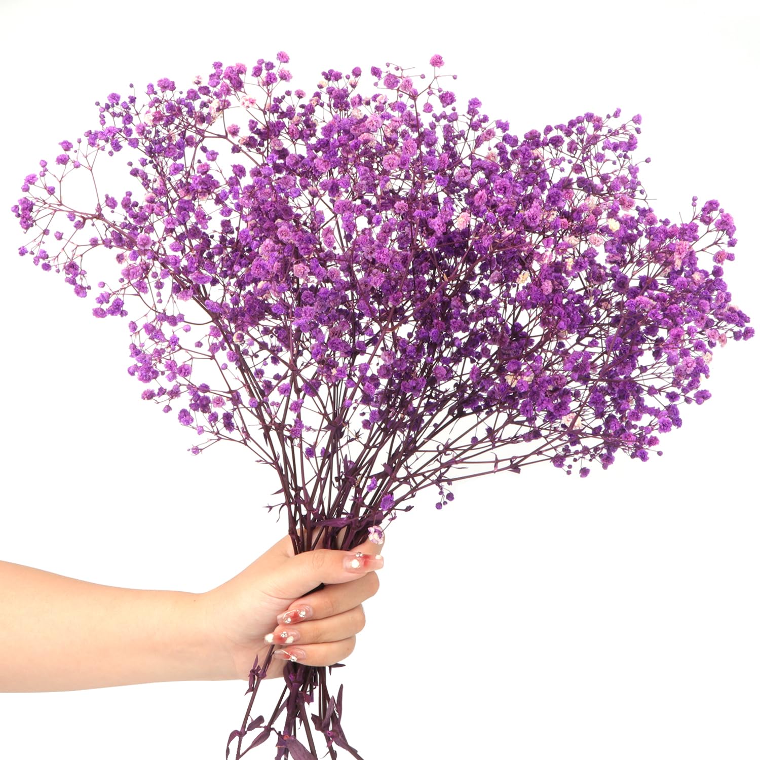 Dried Baby's Breath Flowers Bouquet Natural Dried Flowers Baby's Breath Real Gypsophila Branches for Wedding Table Vase Party Garden DIY Wreath Floral Home Decor（Purple）