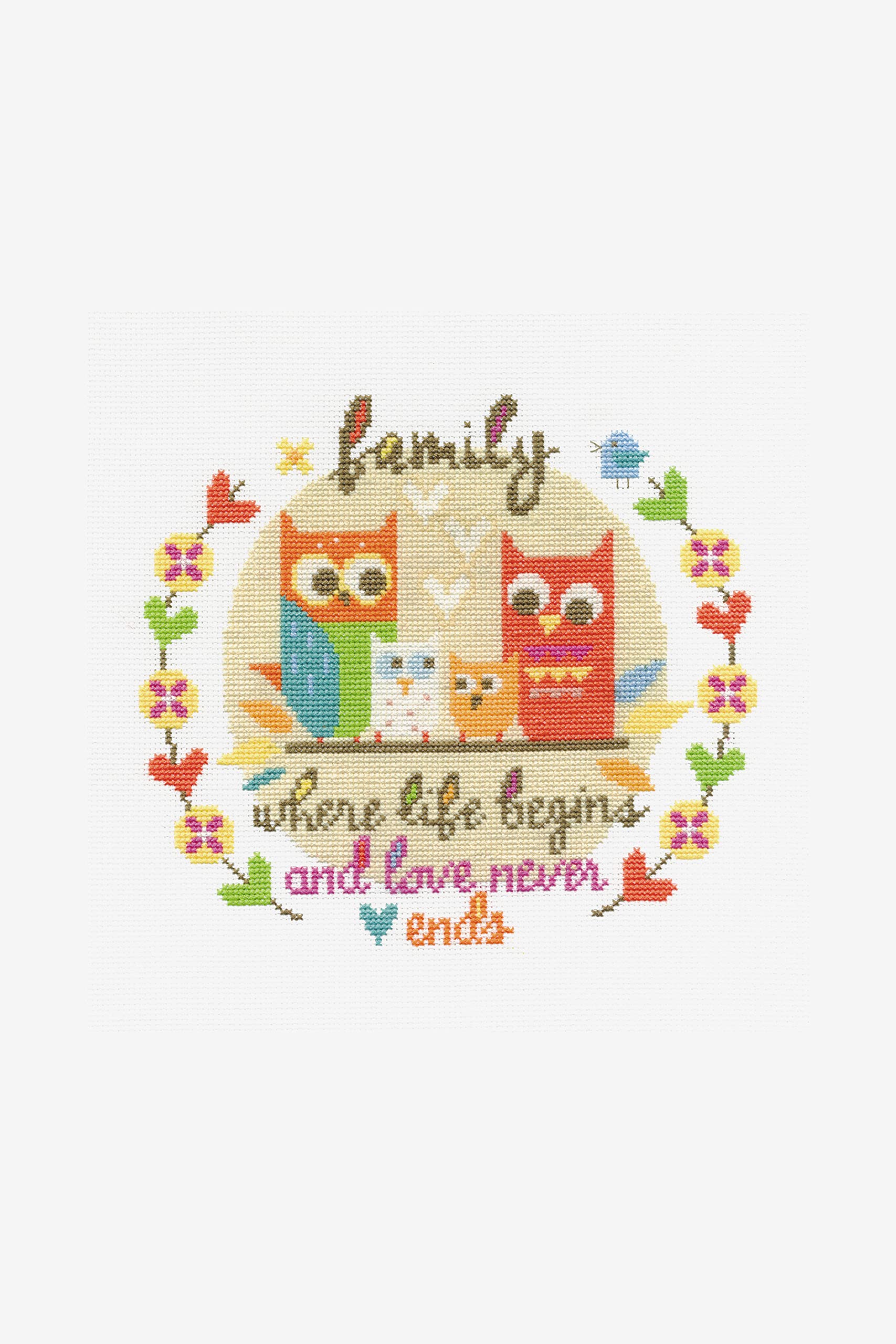 DMC BK1531 Family 14 Count Cross Stitch Kit, Multi Colour