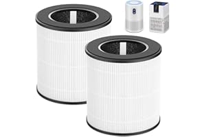 B-D02U Lot de 2 filtres HEPA compatibles avec le filtre à air VEWIOR H13 True HEPA B-D02U, filtre à 3 étapes