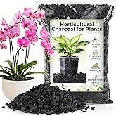 Sukh 1Qt Horticultural Charcoal for Plants - Organic Biochar Soil Amendment | Activated Charcoal for Plants, Succulents, Paphiopedilum, Bonsai, Terrarium, Gardening Potting Soil