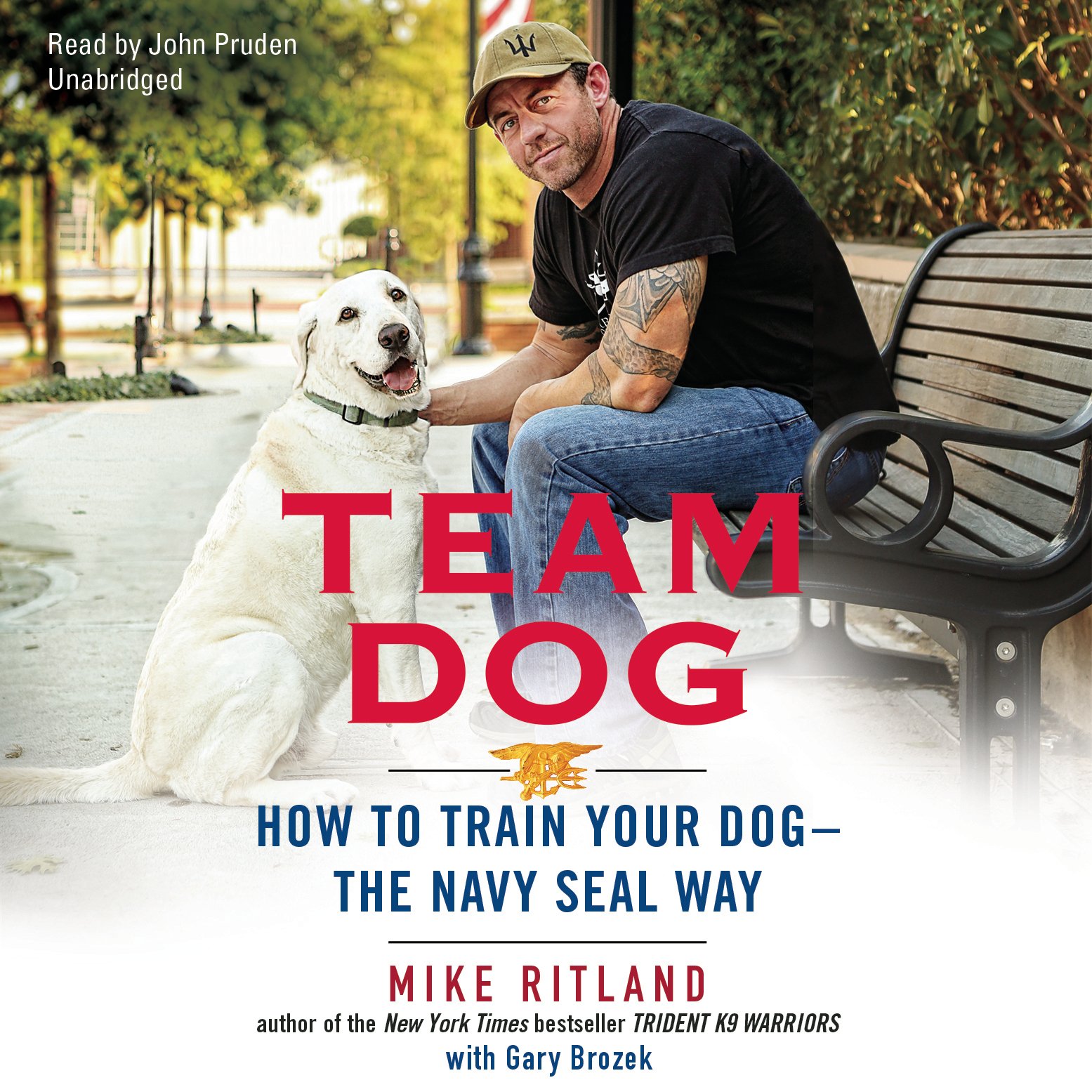 team dog training