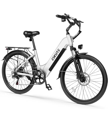 Amazon.com : Soumye Beach Cruiser E-Bike for Adults, Electric Bicycle Bikes with 790W Peak Motor 48V Removable Battery 26