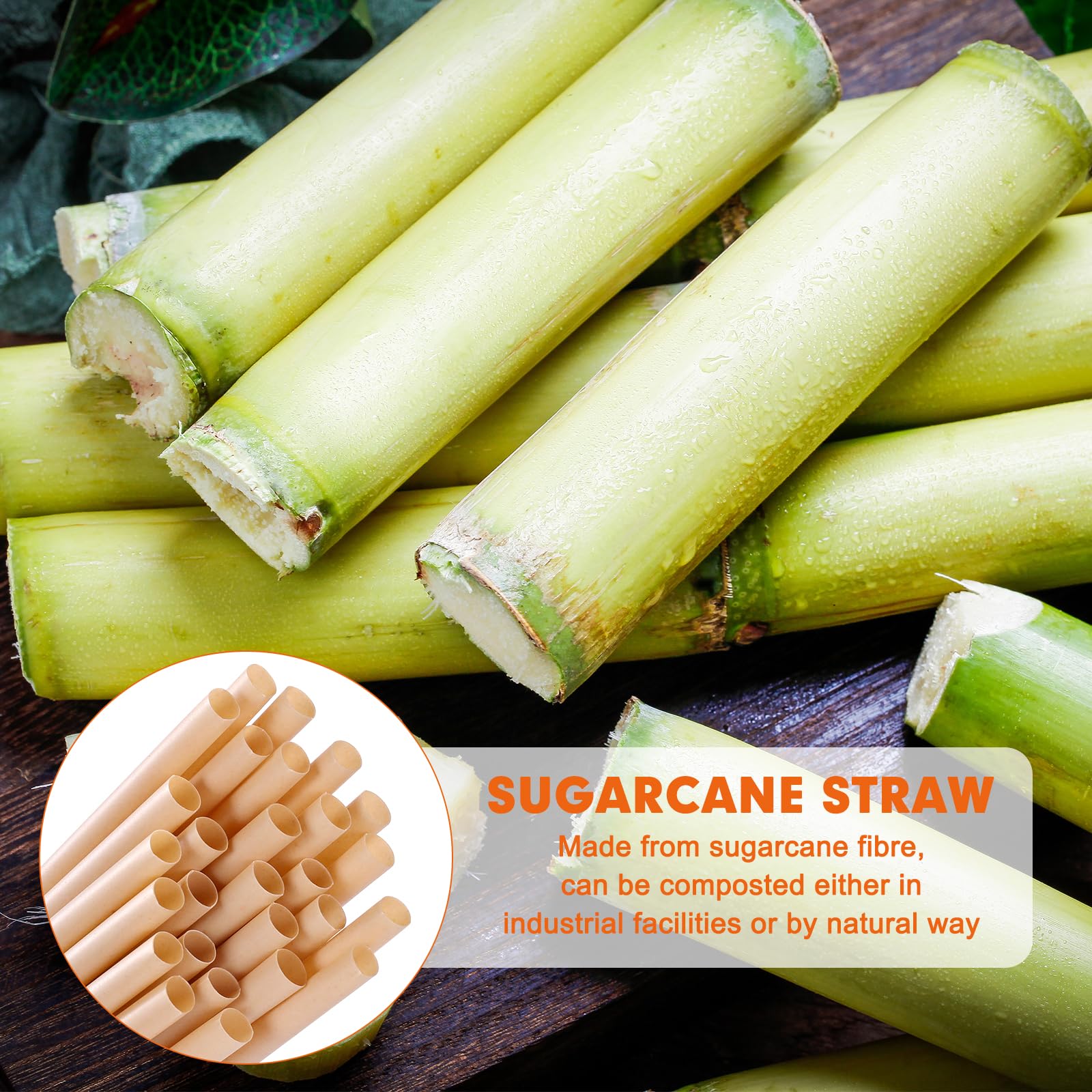 [200 Pcs] Biodegradable Compostable Disposable Sugarcane Straws - 8.25 Inch Plastic Free Drinking Straws for Juice Coffee Cocktail Tea - Image 4