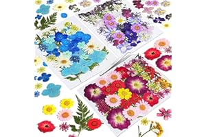 CONVELIFE Dried Flowers for Resin, 120pcs Natural Flowers and Leaves Compressed, Vacuum Packed DIY Dried Flowers for Epoxy, Jewelry, Candles, Soap, Nail Production