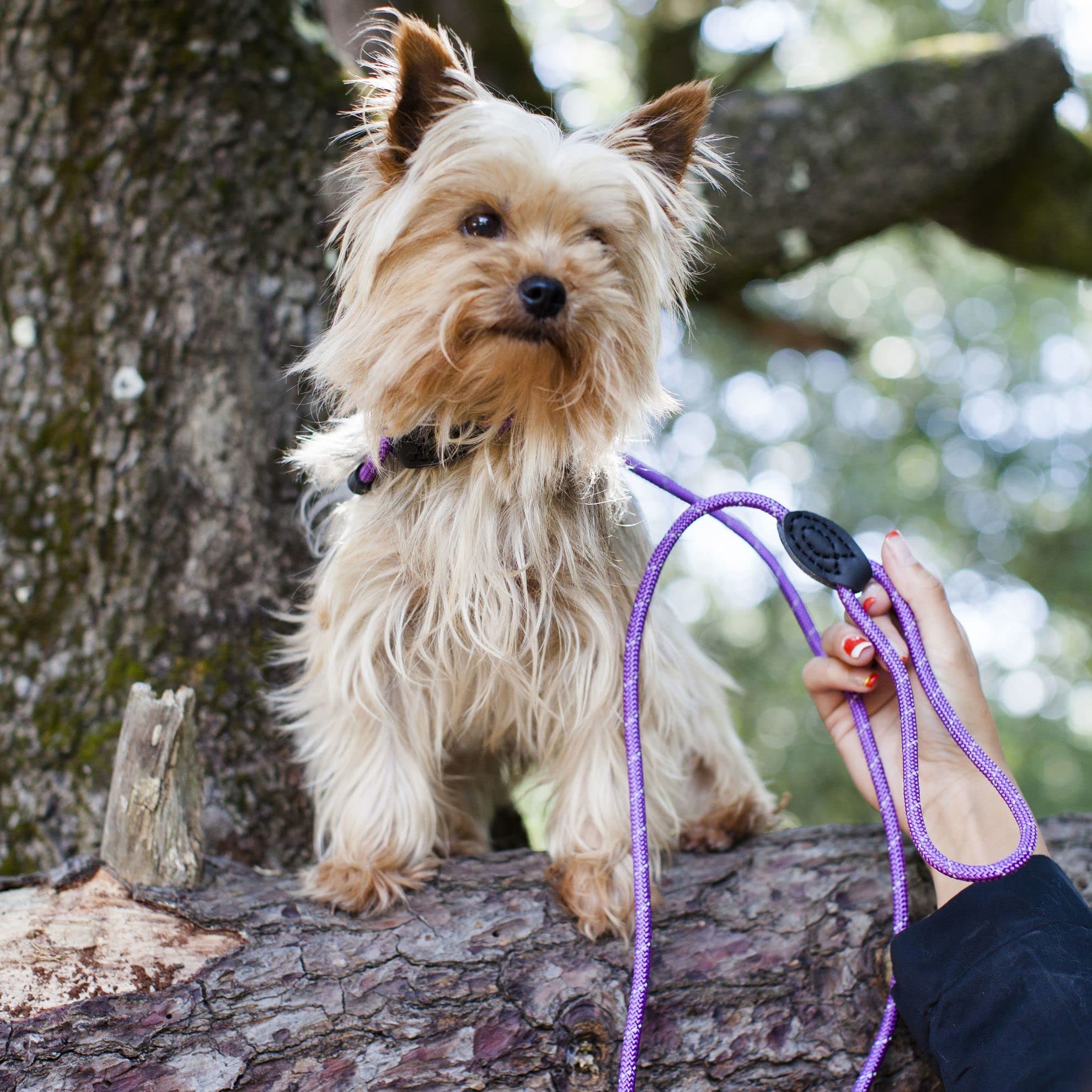 Doogy RUN-AR Reflective Lasso Lead