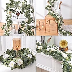 Dolicer 2 Packs 6.56Ft Eucalyptus Garland with