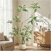 TNGGNT Artificial Locust Tree:6FT Faux Black Locust Floor Plant with Pink Flowers Small Round Silk Leaves & Elegant Branches in Beige Ribbed Planter for Indoor Home Office Decor Hotel Patio Studio
