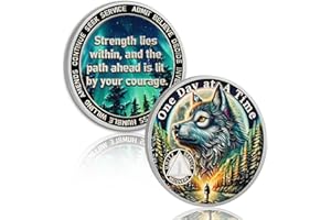 YRCKUDZKG Brave Wolf 1 Year Sobriety Coin - One Day at a Time AA Coin, Alcohol Free One Year Recovery Chip with Token Capsule, Inspirational Sobriety Gifts for Men & Women