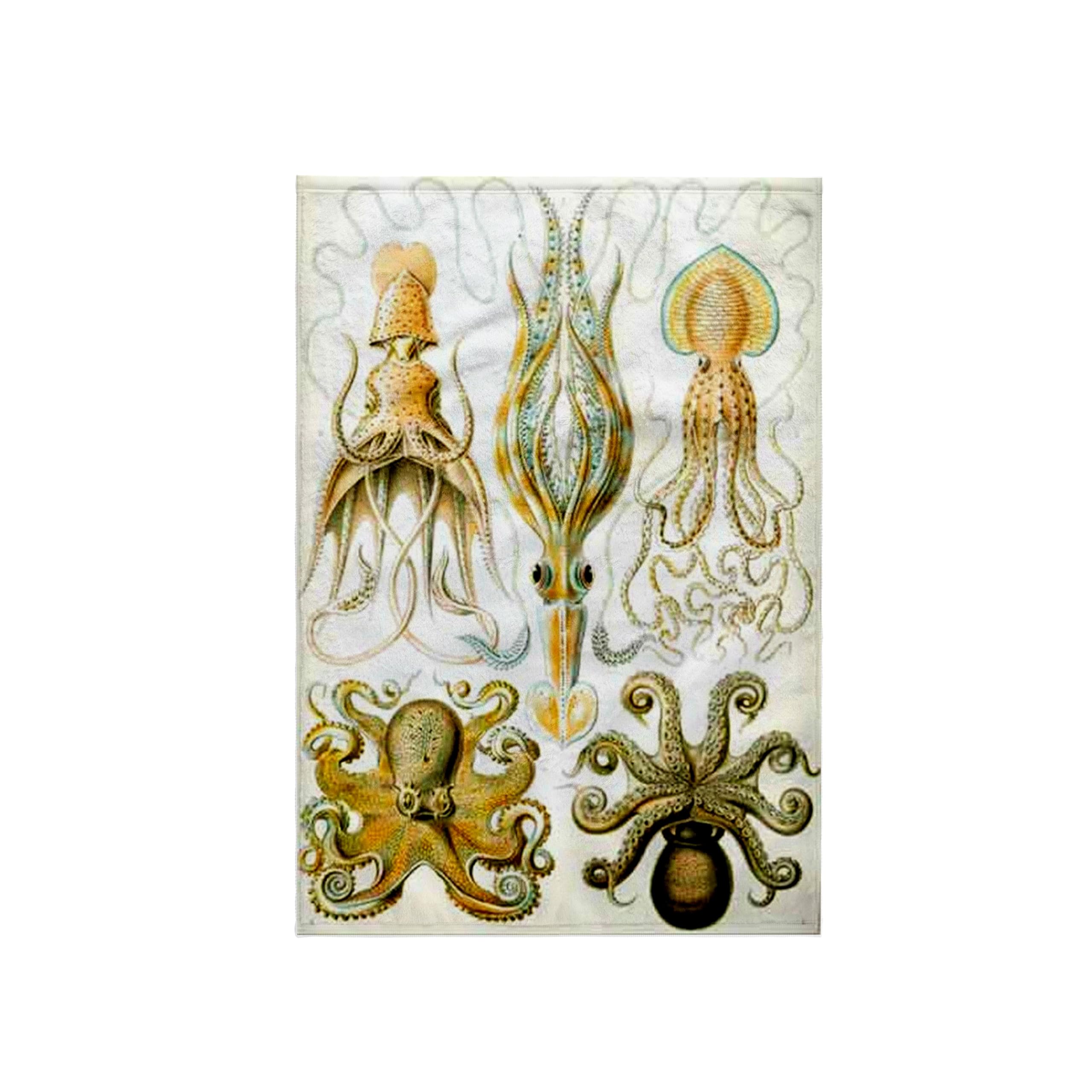 3dRose Picture of 1800 Drawing of Famous Biologist Squids Towel, White, 15 x 22-Inch