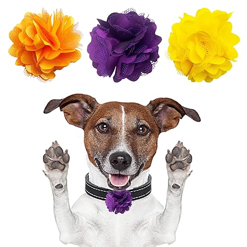 PET SHOW Daisy Small Dog Collar Flower Charms Sliding on