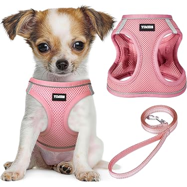 Amazon Best Sellers: Best Dog Harnesses