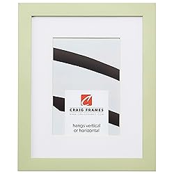 Craig Frames Confetti, 12 x 36 Inch Modern Light