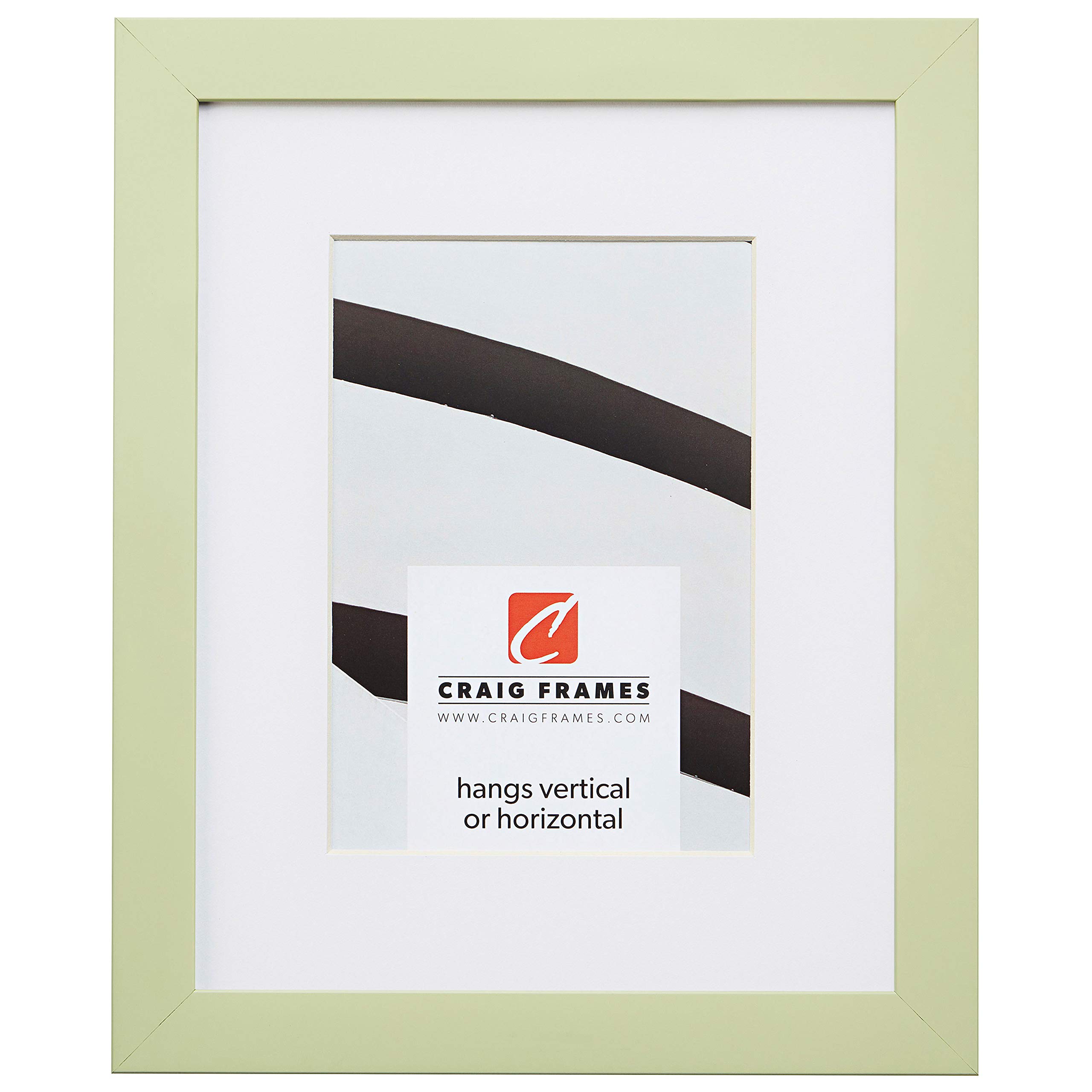 Craig Frames Confetti, 12 x 36 Inch Modern Light