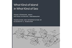 What Kind of Island in What Kind of Sea?