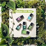 SALKING Nature Fragrance Oils Gift Set Pine Ocean Breeze Rain Fresh Cut Grass view 5