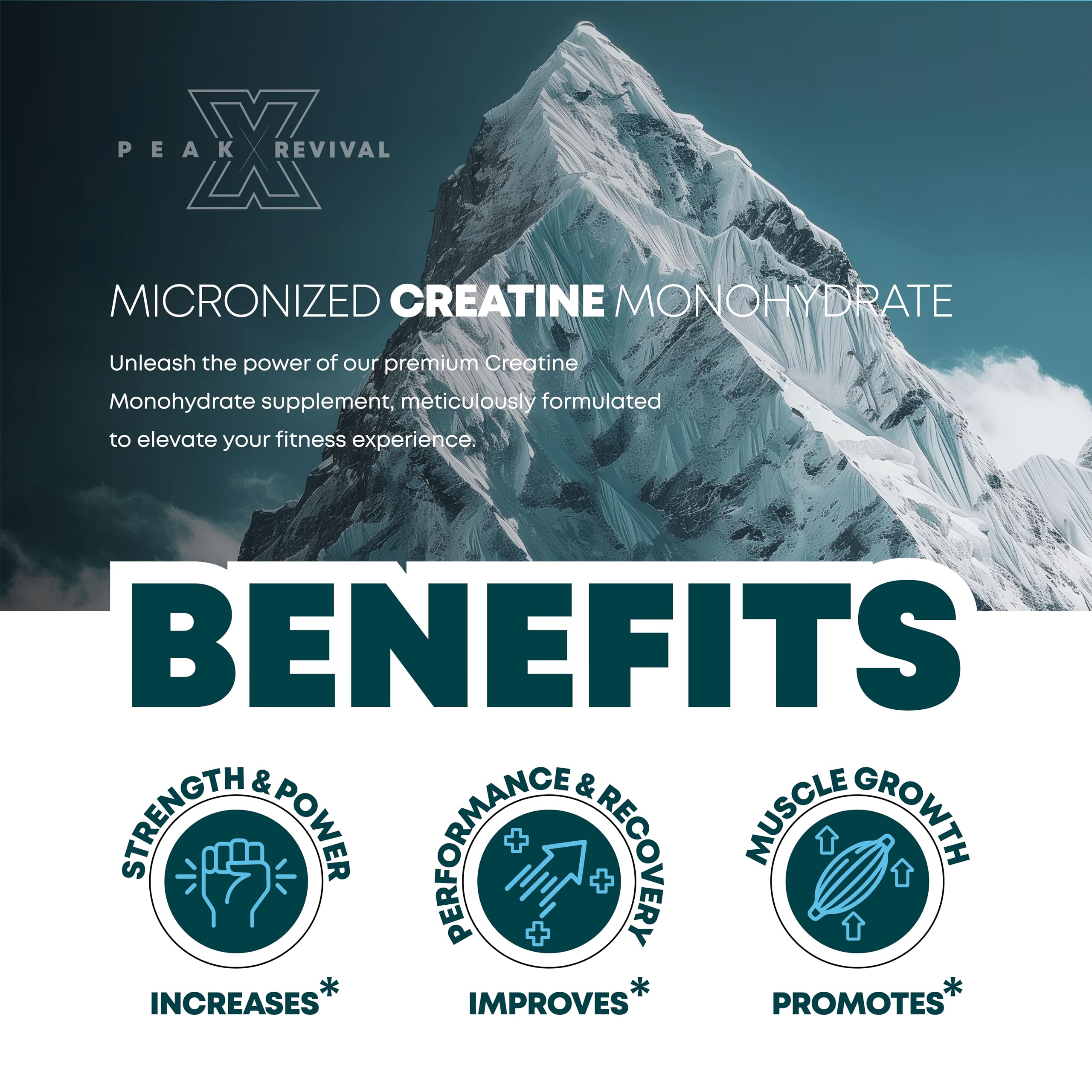 Performance Micronized Creatine Monohydrate Powder Supplement, 5000mg (5g), 100 Servings, Unflavored, Gluten Free, Non-GMO, Vegan
