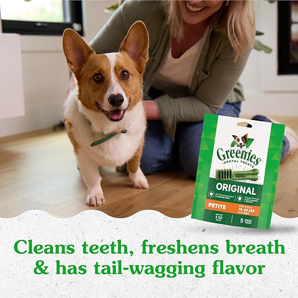 GREENIES VETERINARIAN-RECOMMENDED ADULT NATURAL DENTAL DOG TREATS PETITE SIZE, DOG DENTAL CHEWS, ORIGINAL FLAVOR, 3 OZ. PACK, 5 COUNT