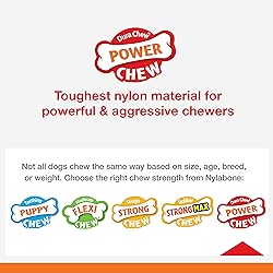 Nylabone Power Chew Textured Dog Chew Ring Toy, Dog