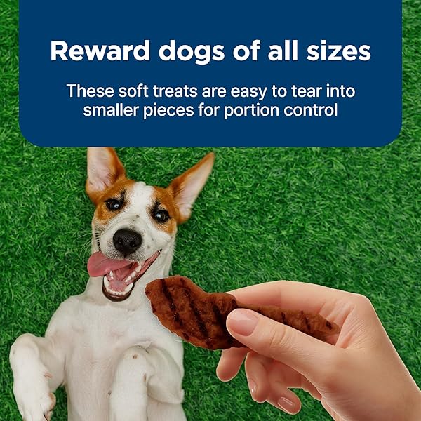 BLUE BUFFALO NUDGES GRILLERS NATURAL DOG TREATS, MADE IN THE USA WITH REAL STEAK, 16-OZ BAG