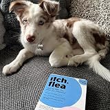 Itch Small Dog Flea & Tick Spot-On Treatment 2-10kg 3 Pipettes view 6