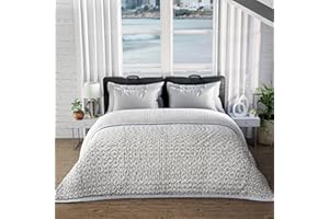 Ridhi Cotton Reversible Quilt Hand Block Printed Queen 90 x 96 Powder and Pigeon Blue Soft Lightweight Blanket for Sofa Couch & Bed Décor Lightweight Soft Breathable Handmade