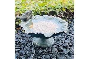 BRILLIANT PROSPECT Bird Baths for Outdoors, Garden Decorations Hummingbird Feeders, Outdoor Sculpture Yard Art Large Lawn Ornament Patio Figurine Bird Feeder Resin
