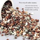 YUNSTK Mix Horticultural Lava Rock 2lb for Succulents Bonsai Drainage Garden view 2