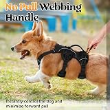 rabbitgoo Escape-Proof Small Dog Harness with Handle Reflective Black S view 5