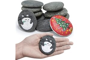 Markdang Rocks for Painting 10 Pcs 3-4” Large River Rock for Paint Natural Flat & Smooth Stones for Painting for Kids & Adult Craft Gift