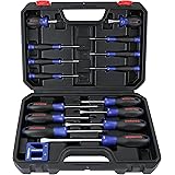 WORKPRO Magnetic Screwdriver Set, 16-Piece Torx Slotted Phillips Precision Screwdrivers with Magnetizer, Organized in Blow Mo