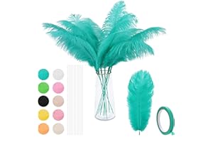 VONMXVTE Ostrich Feathers Bulk - 12Pcs 12-14inch Large Boho Feathers for Vase，Wedding Party Centerpieces and Home Decorations (Mint Green)