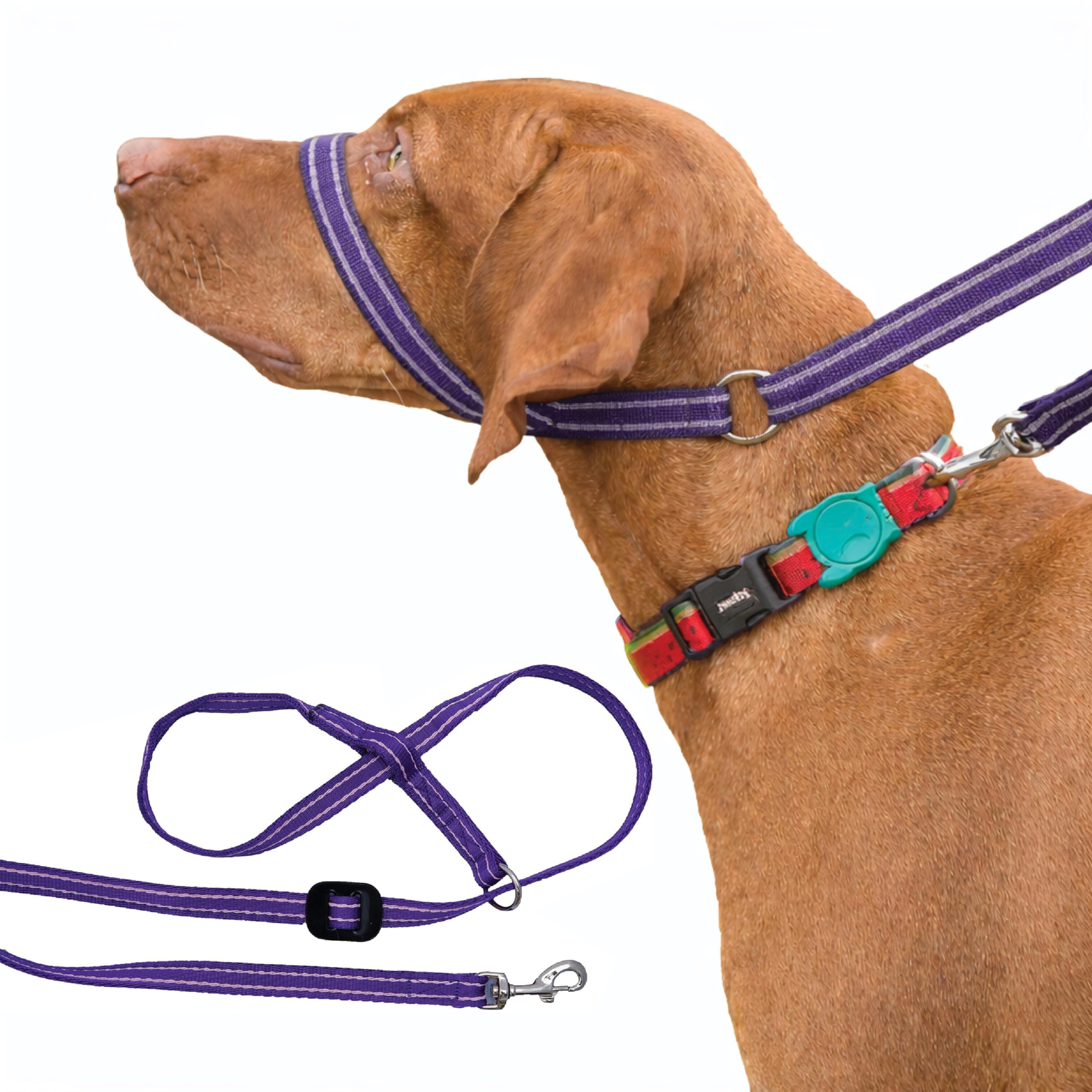 Gencon - Clip-to-Collar Dog Headcollar and Lead - Trainer Approved - One Size Dog Training & Behaviour Aid - Soft & Gentle Design with Trigger Clip - Right - Made in Britain - Purple/Pink