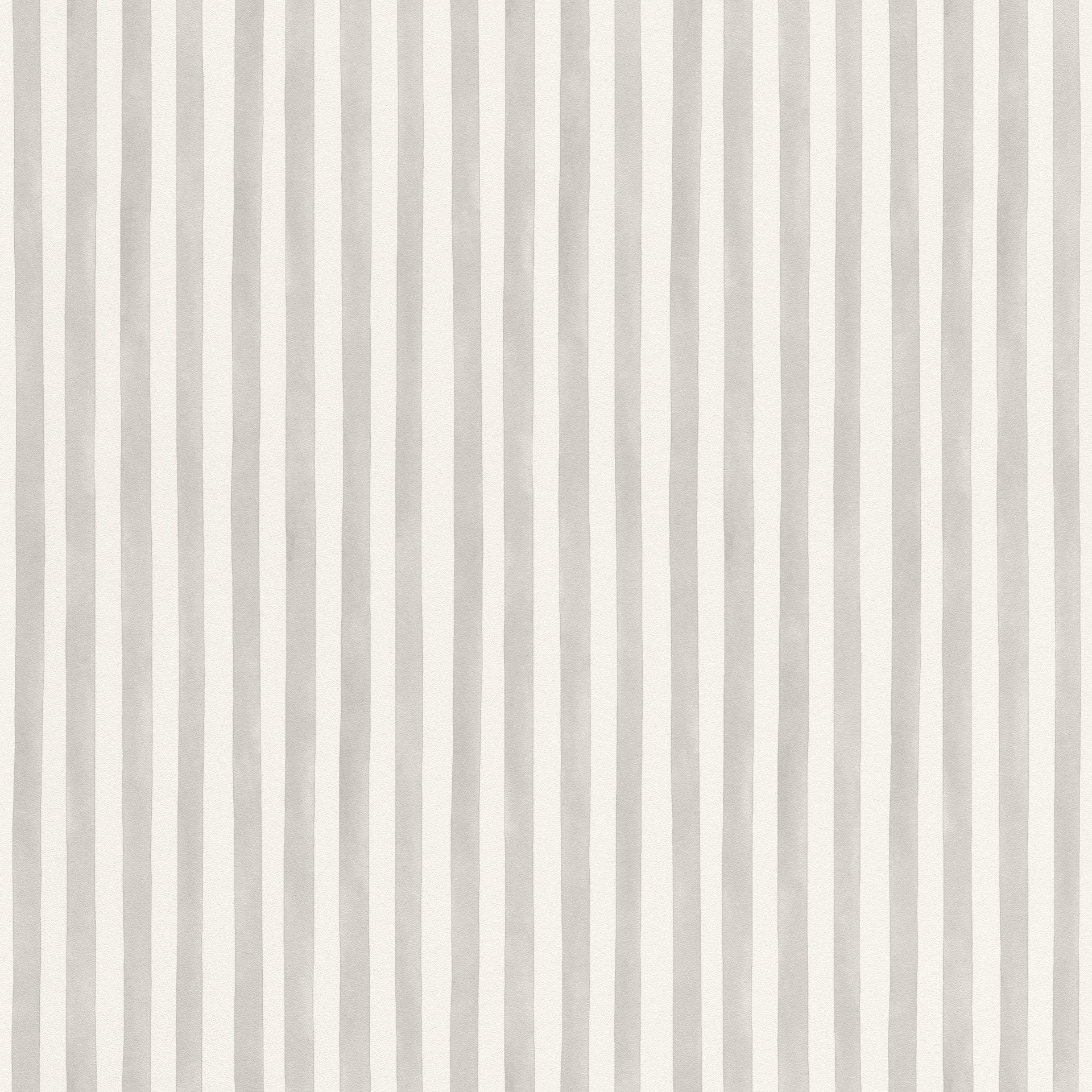 Rasch paperhangings Non Woven Wallpaper (Grafisch) Grey White 10,05 m x 0,53 m Bambino XIX 252767