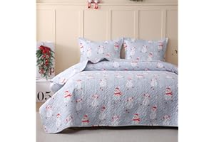 JSD Blue Snowman Christmas Kids Quilt Set Full/Queen, 3 Pcs Christmas Beddings Soft Microfiber Bedspread Coverlet Holiday Quilted Blanket