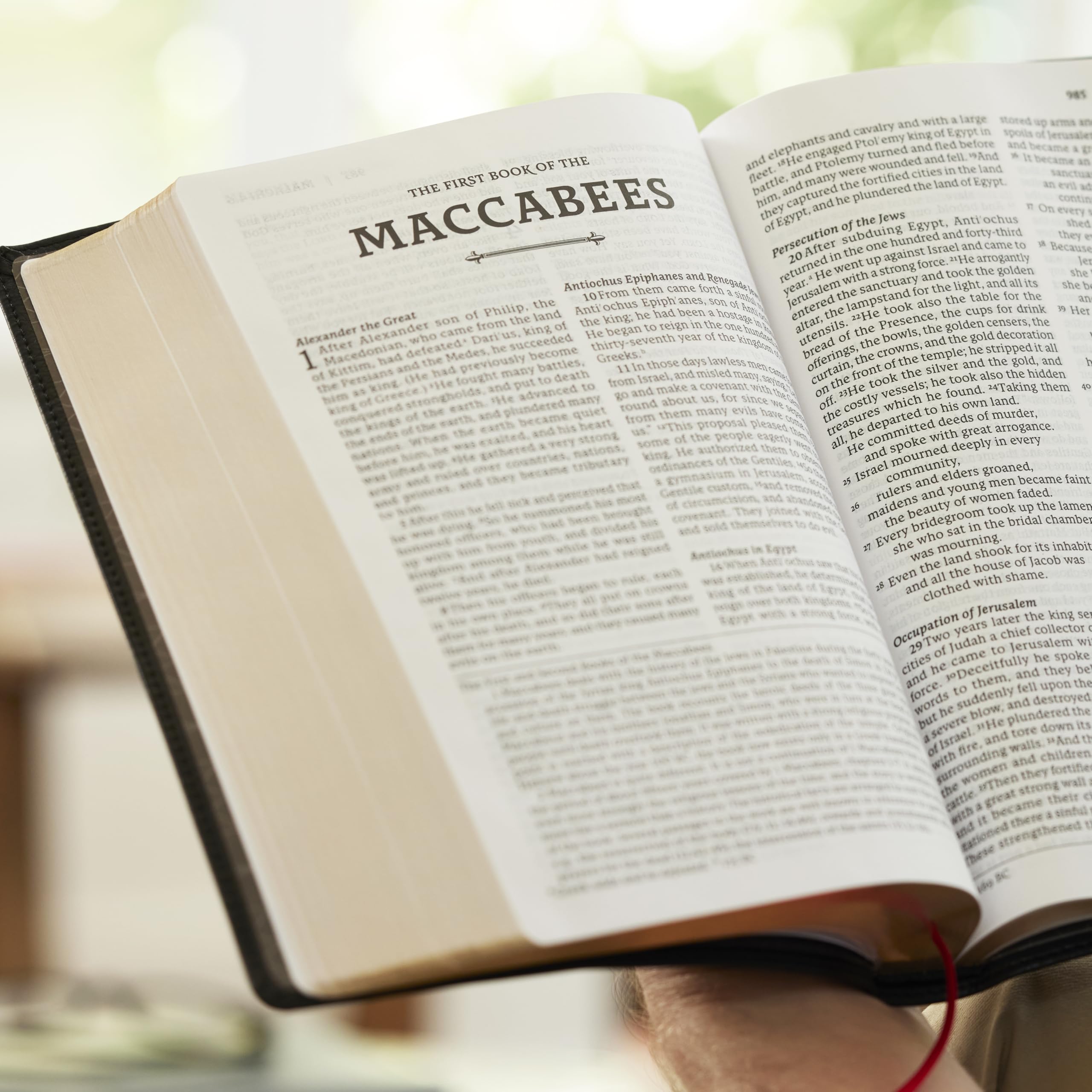 RSV2CE, Thinline Large Print Catholic Bible, Brown Leathersoft, Comfort Print